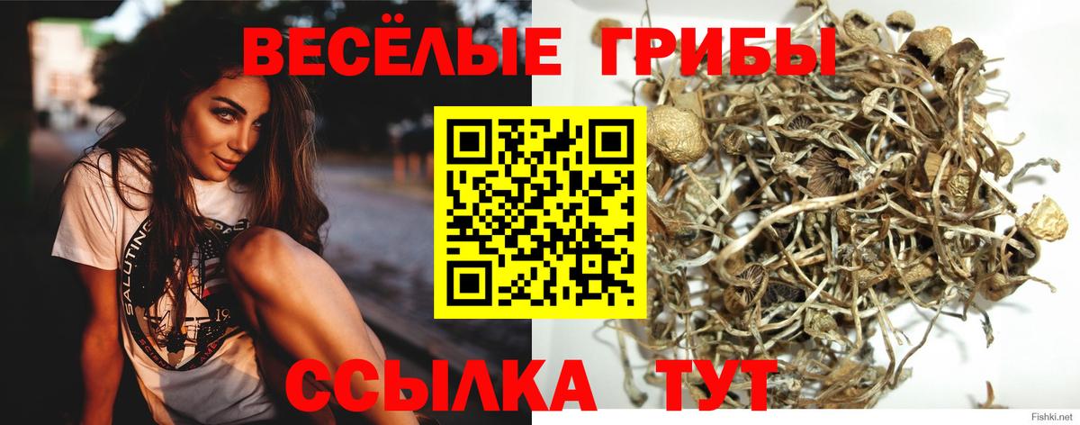 Галлюциногенные грибы Cubensis Кумертау